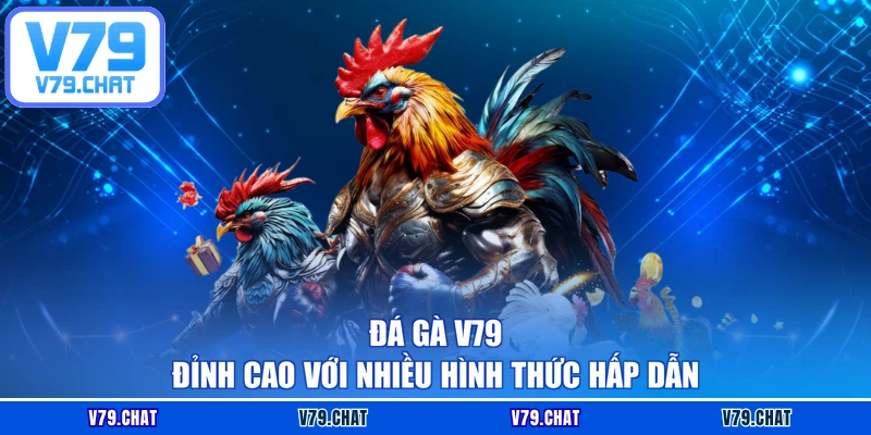Đá gà V79 đỉnh cao với nhiều hình thức hấp dẫn