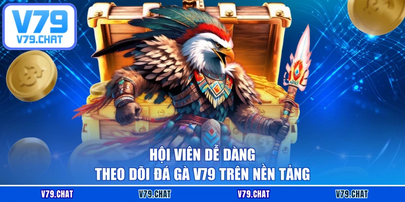 Hội viên dễ dàng theo dõi Đá gà V79 trên nền tảng