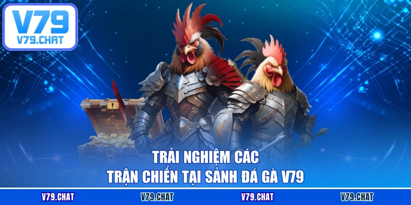 Trải nghiệm các trận chiến tại sảnh Đá gà V79